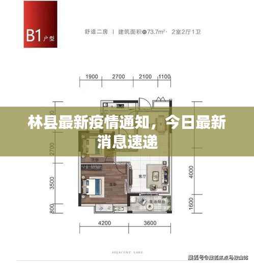 林县最新疫情通知,今日最新消息速递