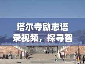 天生万物，唯人为贵 第2页