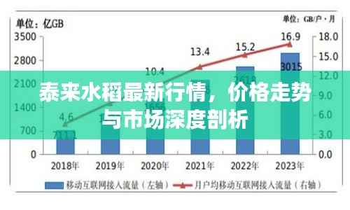 泰来水稻最新行情,价格走势与市场深度剖析