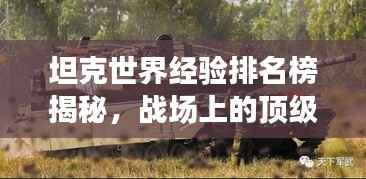 坦克世界经验排名榜揭秘,战场上的顶级战士荣耀揭晓!