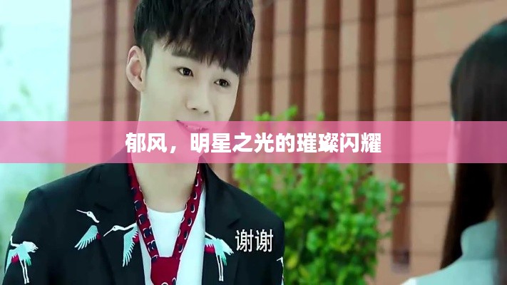 郁风,明星之光的璀璨闪耀