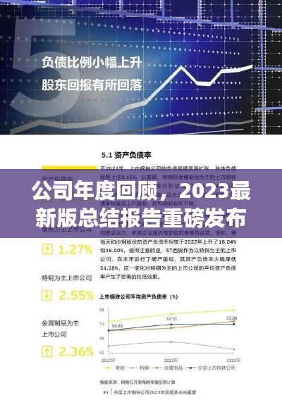 公司年度回顾,2023最新版总结报告重磅发布!