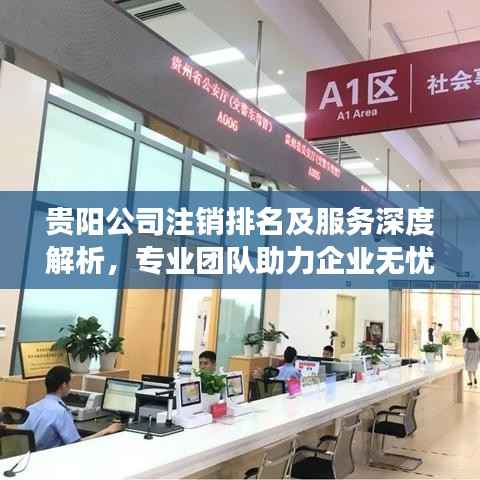 贵阳公司注销排名及服务深度解析,专业团队助力企业无忧退出市场!