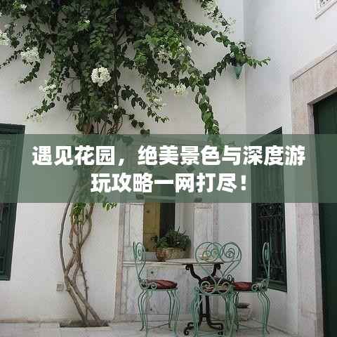 遇见花园,绝美景色与深度游玩攻略一网打尽!