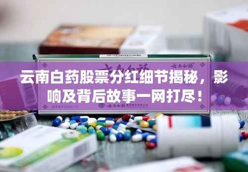云南白药股票分红细节揭秘，影响及背后故事一网打尽！