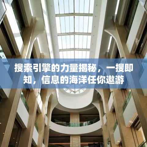 搜索引擎的力量揭秘，一搜即知，信息的海洋任你遨游